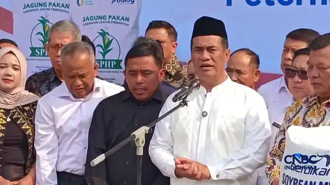 Pemerintah Siapkan Benih Jagung Gratis untuk 20.000 Hektare hingga Akhir 2026