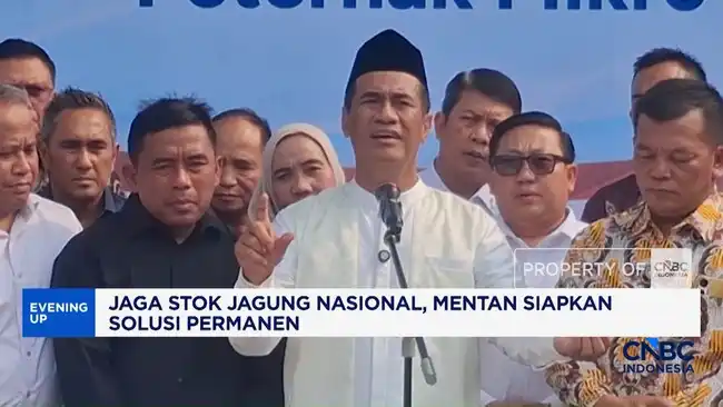 Mentan Gagas Kolaborasi Serap Jagung Panen Raya untuk Kendalikan Harga Pakan